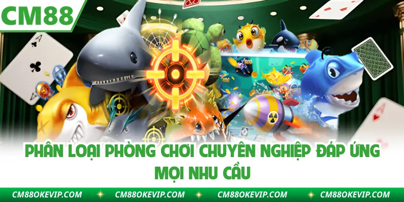 Phân loại phòng chơi chuyên nghiệp đáp ứng mọi nhu cầu